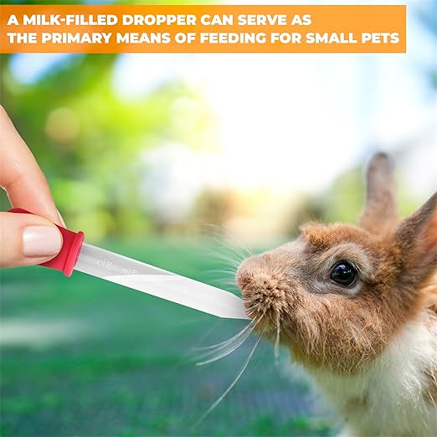 8pcs Silicone And Plastic Liqu - Lab Pipette Tip 评论和价格